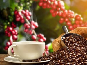 تفاوت پودر قهوه فوری و قهوه آسیاب شده در چیست ؟!
