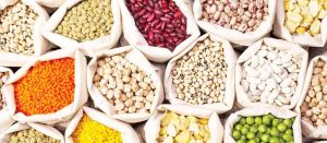 لیست محصولات ممنوعه برای صادرات اعلام شد