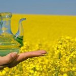 هزینه ۲ میلیارد دلاری برای واردات دانه‌های روغنی