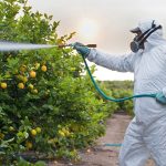 حذف ۳۰ ترکیب پر خطر آفت‌کش و جایگزینی ترکیبات گیاهی