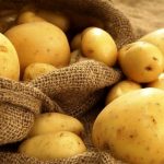 عرضه ذخایر سیب‌زمینی سازمان تعاون روستایی به بازار