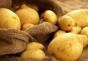 عرضه ذخایر سیب‌زمینی سازمان تعاون روستایی به بازار