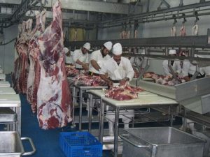انواع گوشت و فرآورده‌های آن معاف از مالیات شدند