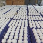 افزایش تولید تخم مرغ و ثبات قیمت در بازار ماه رمضان و عید