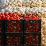 پیاز و گوجه‌ هم به فهرست واردات می‌پیوندند؟