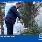 مدیران بانک تجارت نهال دوستی کاشتند