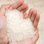 توجه دولت به مطالبات جامعه؛ ساماندهی بازار برنج در دستور کار