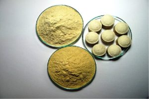 توسعه مکمل‌های انسانی و دامی بر پایه خواص مخمرها