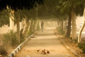 هشدار مدیریت بحران به تهرانی ها / طوفان شدید در راه است