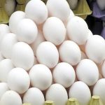 تولید کنندگان تخم مرغ خواستار اجرای برنامه های حمایتی شدند