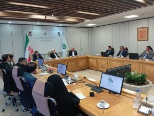 عارف: بنیاد مستضعفان در مسیر حمایت از دولت حرکت میکند نه رقابت با آن