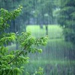 پیش بینی هوا برای تعطیلات آخر هفته/ کاهش دما و بارش باران در برخی استان ها