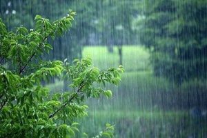 پیش بینی هوا برای تعطیلات آخر هفته/ کاهش دما و بارش باران در برخی استان ها